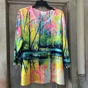 Catalog Favorites - colorful art wear - v- neck 3/4 sleeve - size 1X